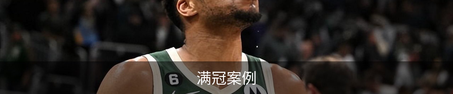 满冠案例